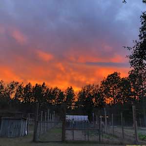 Catawba Organic Farm Tent Camping