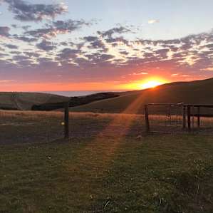 Tara Valley Cabin and Horse Stay