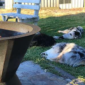 Tara Valley Cabin and Horse Stay