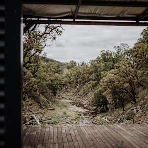 Shelter looking over the beautiful creek