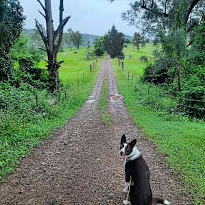 Perfect little spot away from the crowds and pet friendly