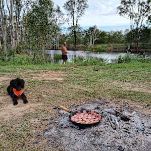 Orchard Camp