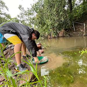 Panning for gold