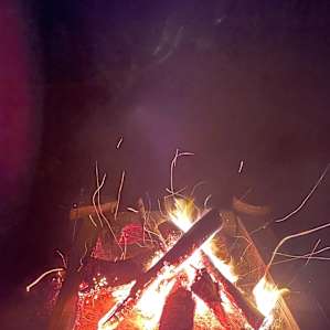 Tent camping on organic farm.