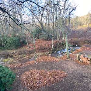 Lower area.