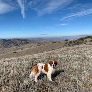 Heritage ~ Carrizo Plain Soda Lake