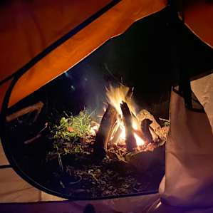 each campsite has a little fire ring!