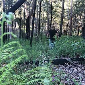 Bush walk in front of property