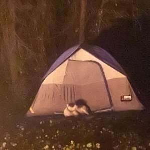 Camp Catfish