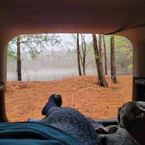 Between the Ponds