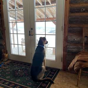 Toby Mill Cabin