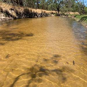 Moore River Camping: Exclusive