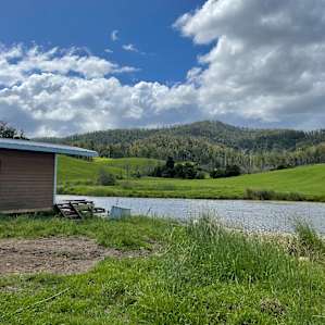Dairy Camp - Cricket Creek
