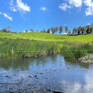 Dairy Camp - Cricket Creek