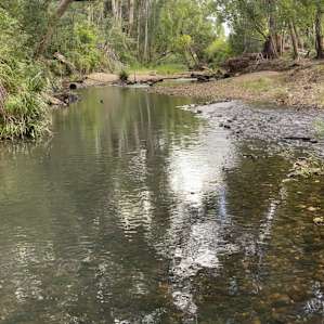 Tallowood Creek