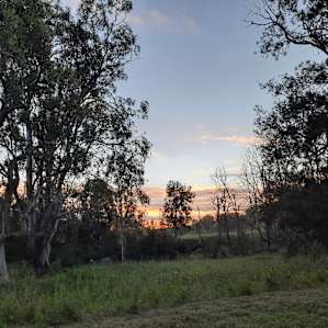 The Bullockies' Creekside Camp