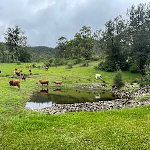 The Billabong