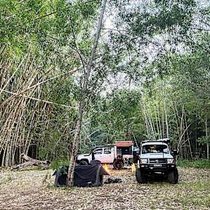 Belli Bamboo Parkland
