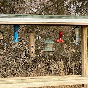 Mrs. Pfanny's Garden Cottage