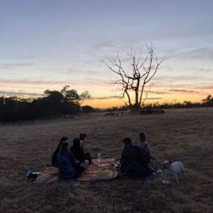Dufholme Camping