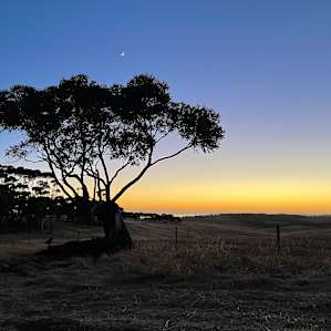 Parrara View