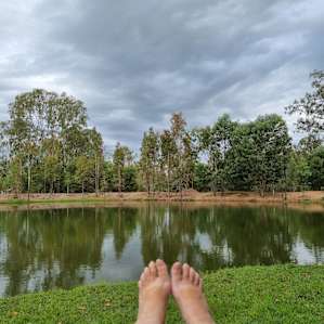 It's a hard life, but someone has to do it. Feet up, cuppa and biscuits in hand after the rain was refreshing and gorgeous...during the only rain day the smells and wildlife activity trully amazing....