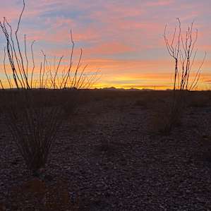 Rio Bravo 1