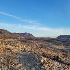 View of the campsite from up the hill.