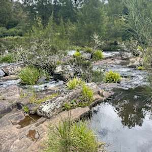 Wild Nymboida Camping