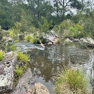 Wild Nymboida Camping