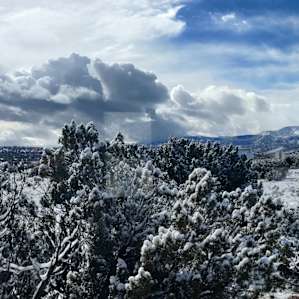 Views from tiny house