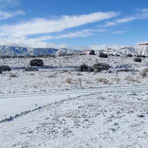Views from tiny house