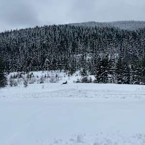 Iron Horse Forest River Cabin