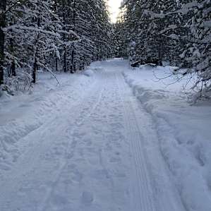 Iron Horse Forest River Cabin