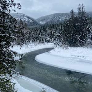 Iron Horse Forest River Cabin