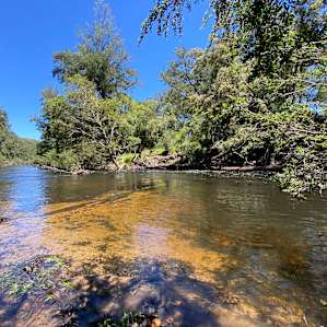 Nice swimming hole near site 6