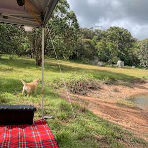 Laid back By Boyd’s Creek