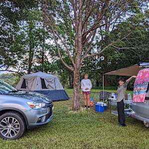 Camp Under the Majestic Trees