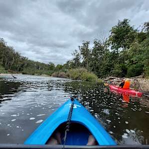 Kayaking up river