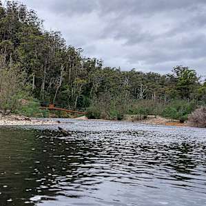 More rapids