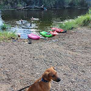 Camp Akuna - FAMILY NON-Powered