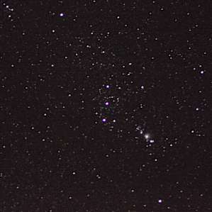 The stars were amazing!