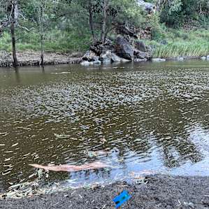 There is an underwater rock ledge on the other bank - perfect height to sit in the water