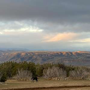 Songdog West Campsites