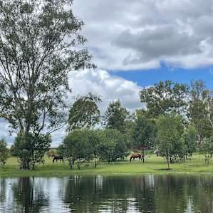 Seehorse Meadows