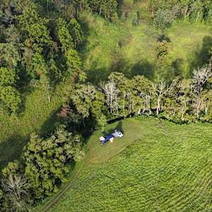 Creek Gully Campsite