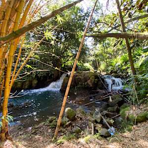 Swimming hole
