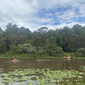 Park Site By The Dam