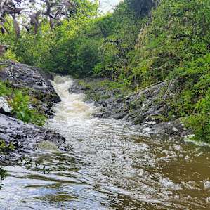 Beautiful freshwater creek on the property