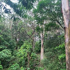 Otford Acres by the Royal Nat Park
